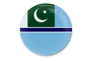 Bandera de Insignia de Aviación Civil Arte Vectorial flag