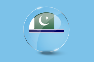 Bandera de Insignia de Aviación Civil Botón Redondo Brillante flag