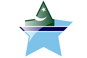 Bandera de Insignia de Aviación Civil Icono de Estrella flag