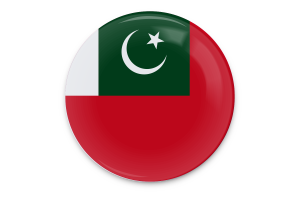 Arte vettoriale della bandiera dell'insegna civile flag