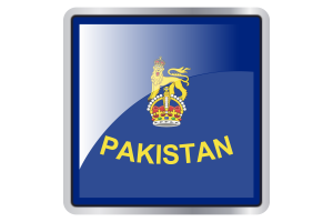 Governor General Flag Square icon flag