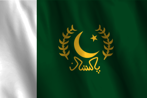 President's National Flag flag
