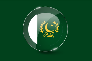 President Flag Glossy Round Button flag