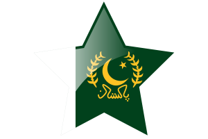 President flag star icon flag