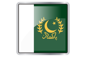  President flag square icon flag