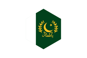 president flag hexagon flag
