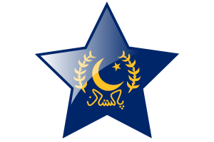 Presidential Standard Flag Star Icon flag