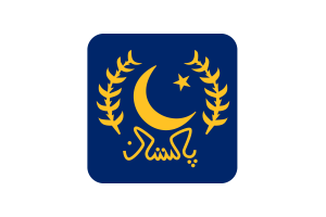 Presidential Standard Flag Square Rounded Shape flag