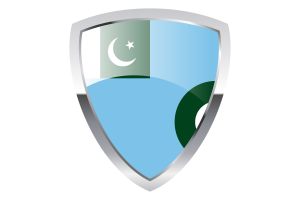 Air Force Ensign Shield Flag flag