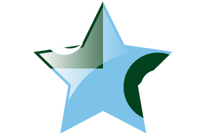 Air Force Ensign Flag Star Icon flag