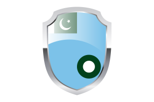 Air Force Ensign Shield Logo flag