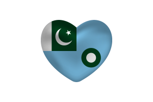 Love of Air Force Ensign Heart Shape flag