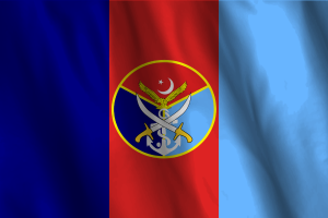 National Flag of the Armed Forces flag