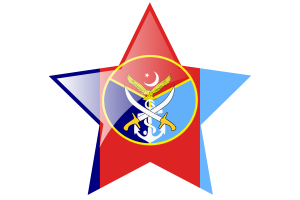 Armed forces flag star icon flag