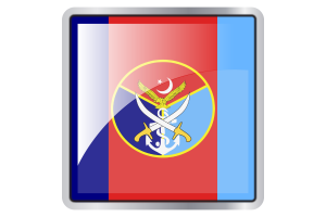  Armed forces flag square icon flag