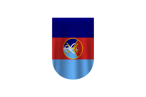 Armed Forces Flag Vector flag