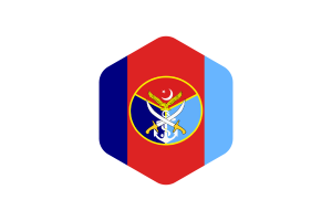  Flag of the Armed Forces in the shape of a rounded hexagon flag