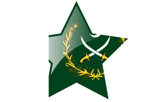 Chief of the Army Staff Flag Star Icon flag