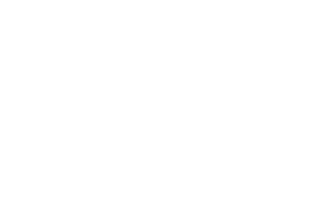 Emblem of Naval Ensign flag