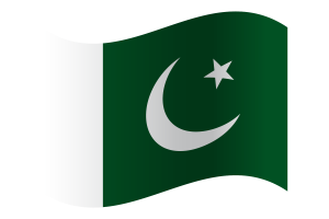 Naval Ensign Flag flag