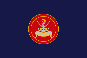 Flag of Coast Guards flag