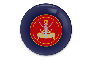 Coast Guards Flag Vector Art flag