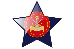 Coast Guards Flag Star Icon flag
