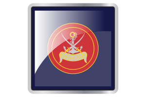 Coast Guards Flag Square icon flag