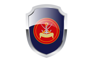 Coast Guards Shield Logo flag