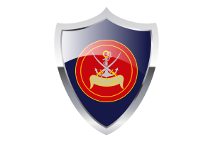 Coast Guards Flag with Medieval Heater Shield flag