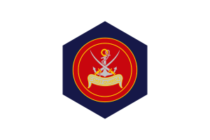 Coast Guards Flag Hexagon Shape flag