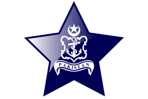 Naval Jack Flag Star Icon flag