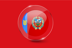 Altai Krai Flag Glossy Round Button flag