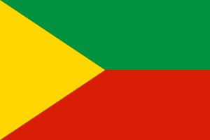 Flag of Chita flag