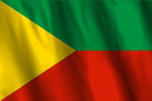 National Flag of Chita flag