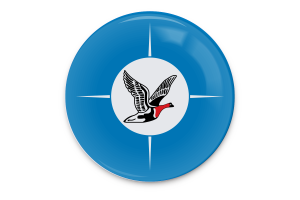 Arte vettoriale della bandiera di Taymyr flag