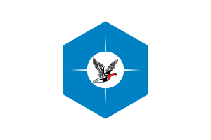 Bandiera di Taymyr Forma Esagono flag