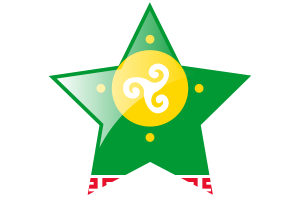 Ust Orda Buryat Flag Star Icon flag