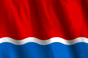 National Flag of Amur Oblast flag