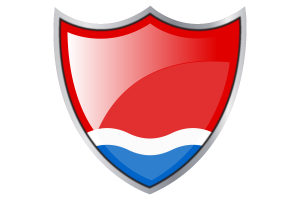 Standard of Amur Oblast flag