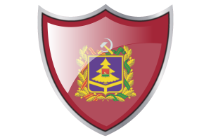 Standard of Bryansk flag