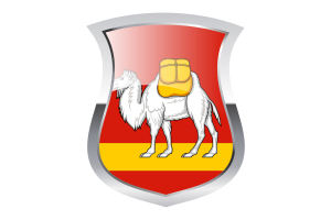 Chelyabinsk Pride Flag flag