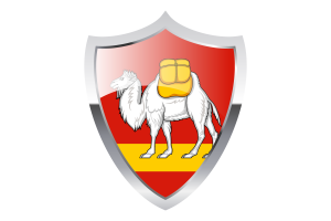 Chelyabinsk Flag with Medieval Heater Shield flag