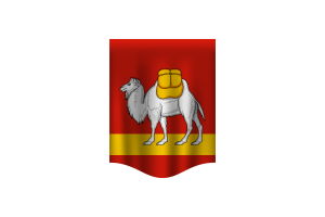 Chelyabinsk Flag Banner flag