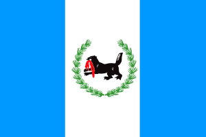 Flag of Irkutsk flag