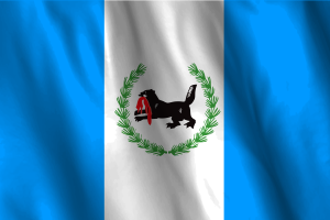 National Flag of Irkutsk flag