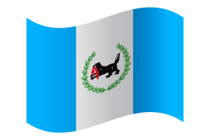 Irkutsk Flag flag