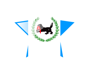 Irkutsk Flag Star Icon flag