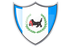 Standard of Irkutsk flag