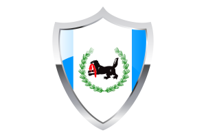 Irkutsk Flag with Medieval Heater Shield flag